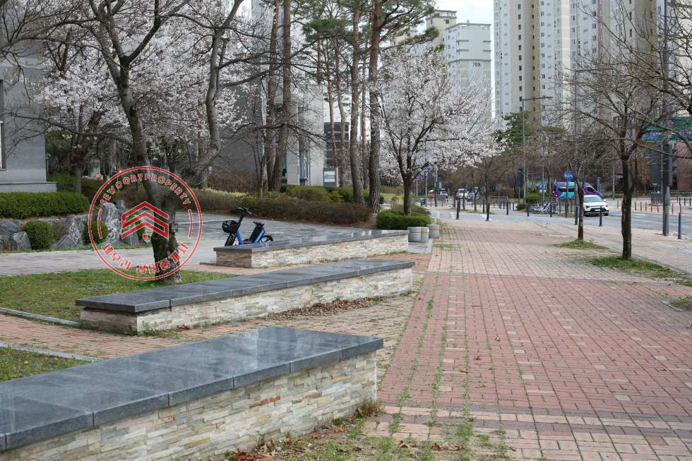 세종 세종특별자치시 고운동 인테리어 깔끔한 매물 매매 매물번호 10593 사진 6